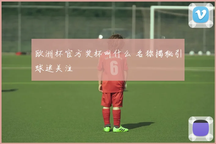 欧洲杯官方奖杯叫什么 名称揭秘引球迷关注
