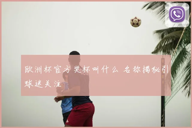 欧洲杯官方奖杯叫什么 名称揭秘引球迷关注