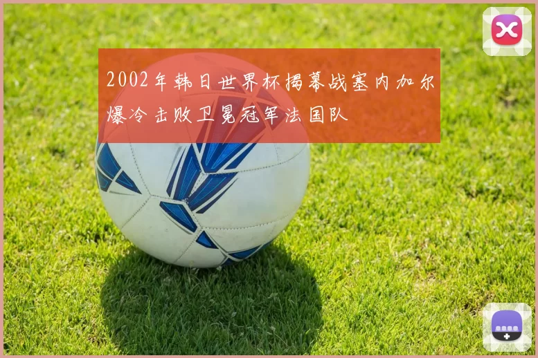 2002年韩日世界杯揭幕战塞内加尔爆冷击败卫冕冠军法国队